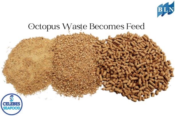 Octopus Waste Utilization Technology : Towards Efficient and Nutritious Octopus Feed